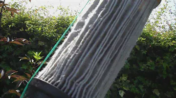 CLEAN VAX FILTER